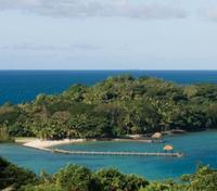 Dolphin Island